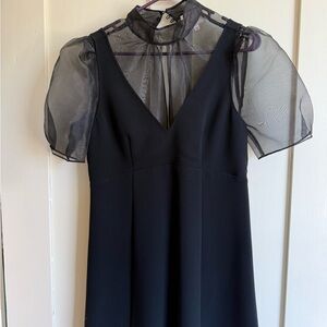 cinq a sept Black V-Neck Dress with Sheer Puff Sleeves